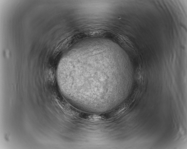 X0000100420607200806201824