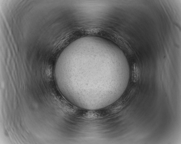 X0000100420608200806201824