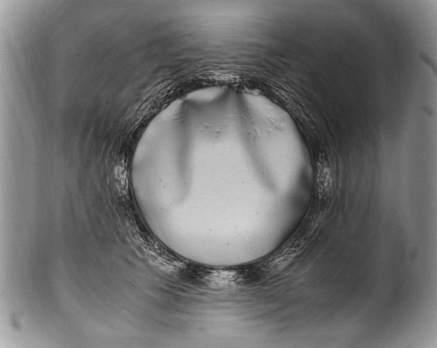 X0000100420609200806201824