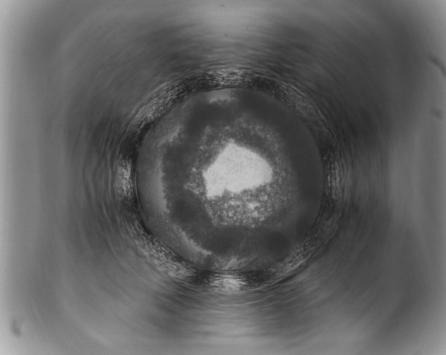 X0000100420610200806201824