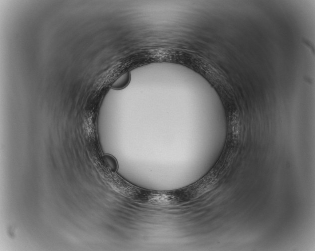 X0000100420611200806201824