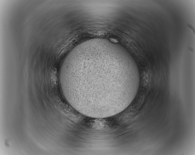 X0000100420612200806201824
