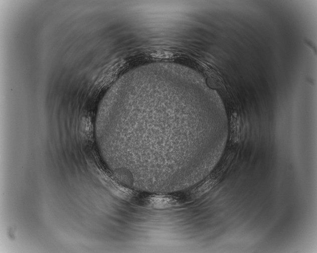 X0000100420614200806201824