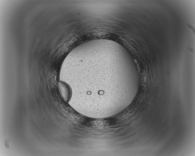X0000100420615200806201824