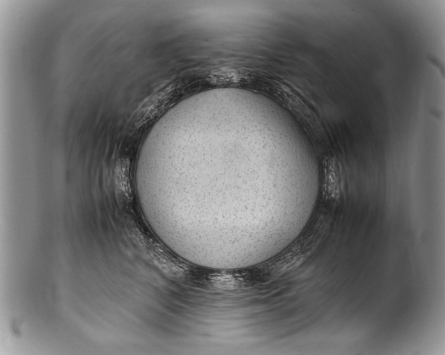 X0000100420616200806201824