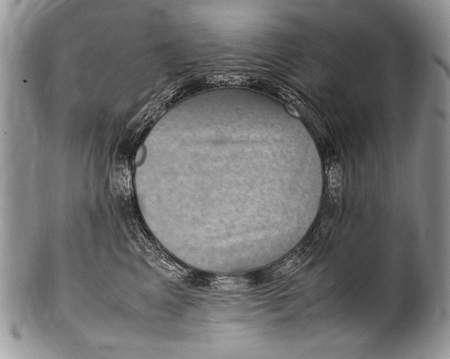 X0000100420617200806201824