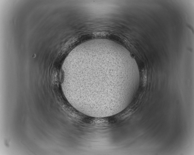 X0000100420619200806201824