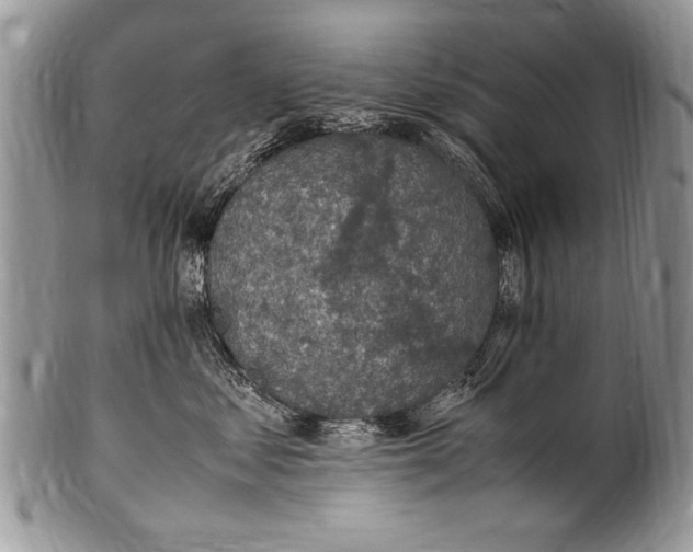 X0000100420621200806201824