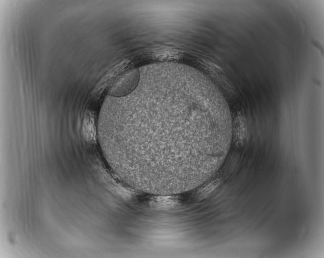 X0000100420622200806201824