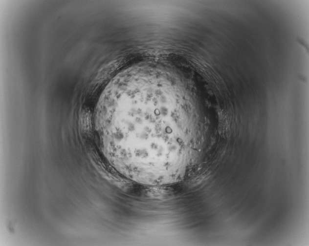 X0000100420623200806201824