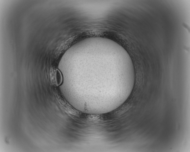 X0000100420624200806201824