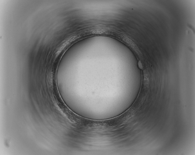 X0000100420626200806201823