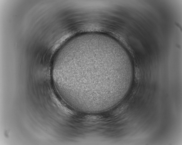 X0000100420629200806201823