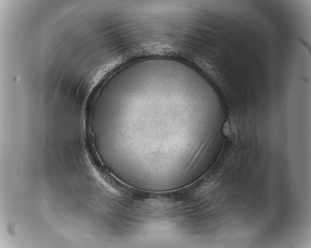 X0000100420630200806201823