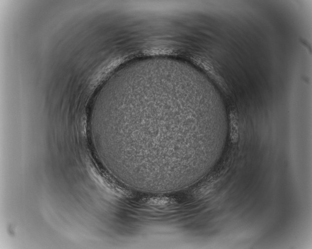 X0000100420631200806201823