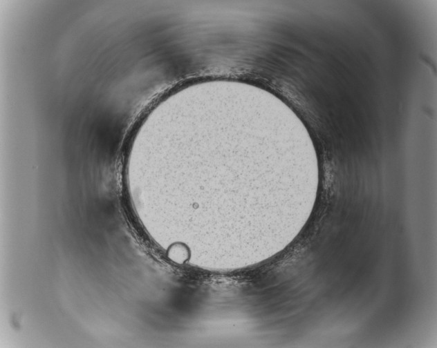 X0000100420632200806201823