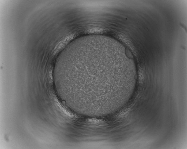 X0000100420633200806201823