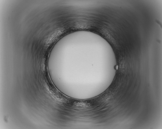 X0000100420635200806201823