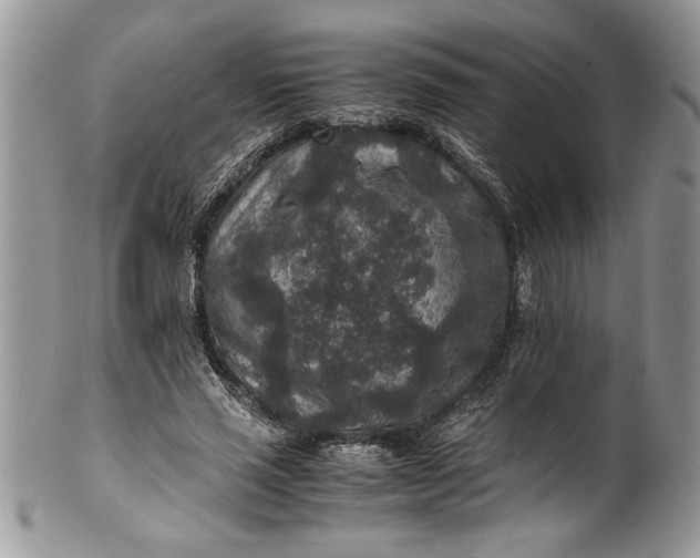 X0000100420637200806201823