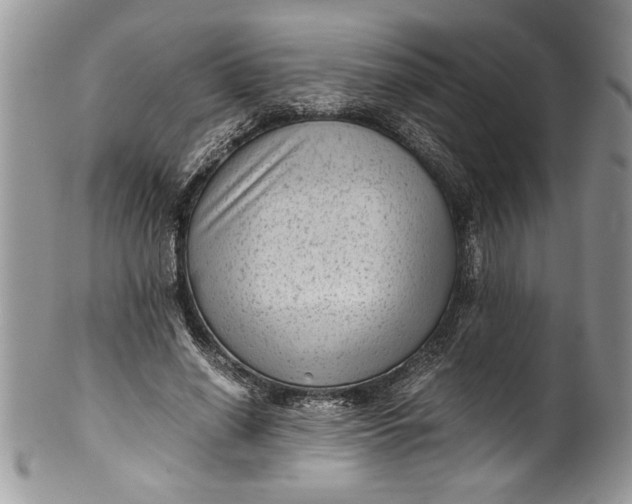 X0000100420638200806201823