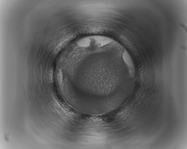 X0000100420640200806201823