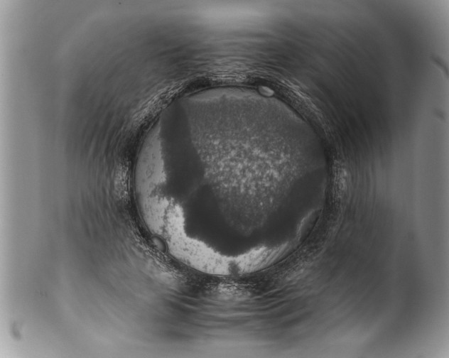 X0000100420641200806201823