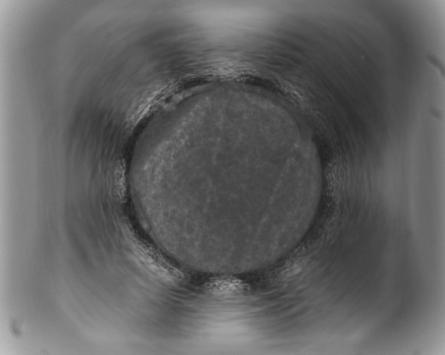 X0000100420642200806201823