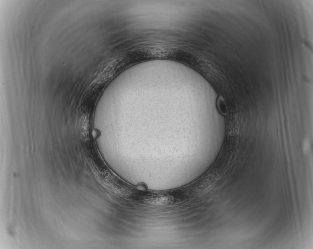 X0000100420646200806201823