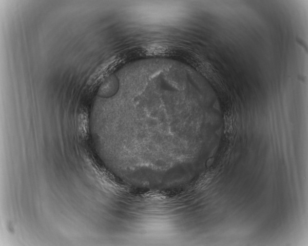 X0000100420648200806201823