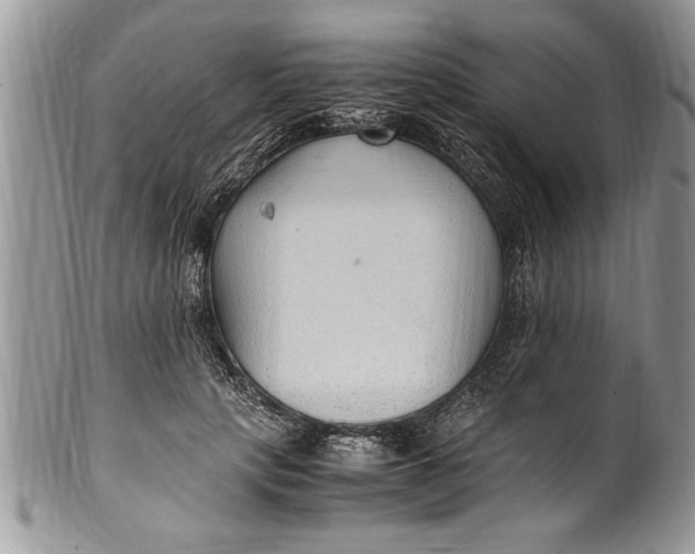 X0000100420649200806201824
