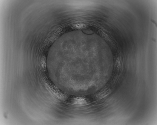 X0000100420651200806201824
