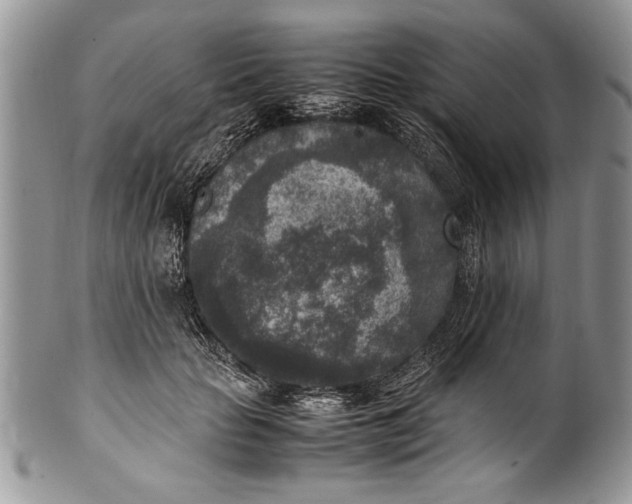 X0000100420653200806201824