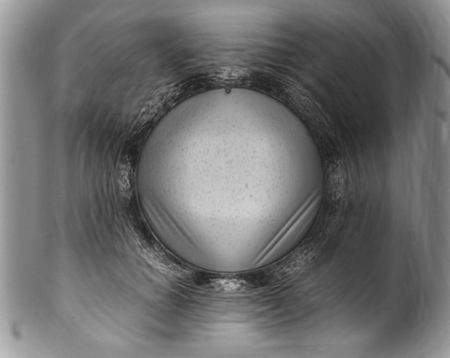 X0000100420654200806201824