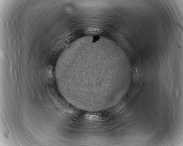 X0000100420655200806201824