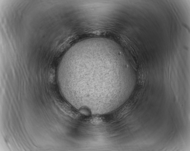 X0000100420656200806201824