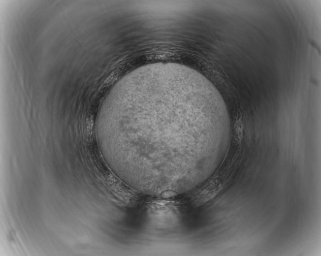 X0000100420657200806201824