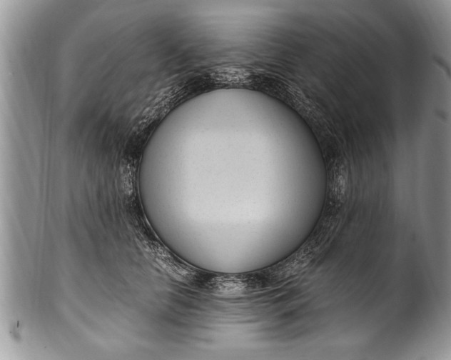 X0000100420658200806201824