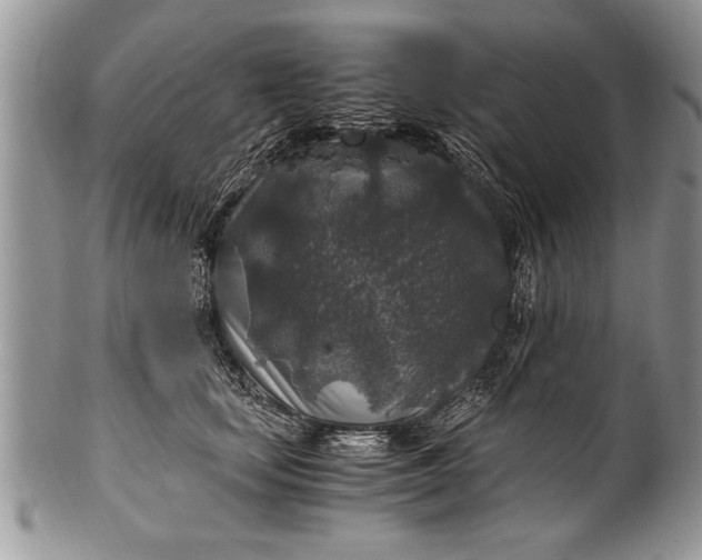 X0000100420659200806201824