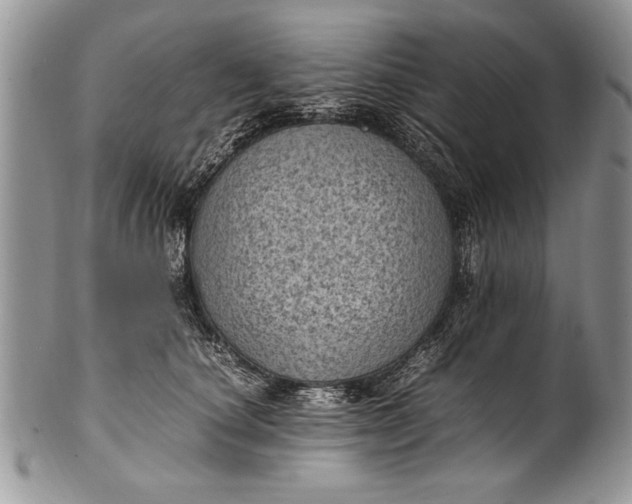 X0000100420660200806201824