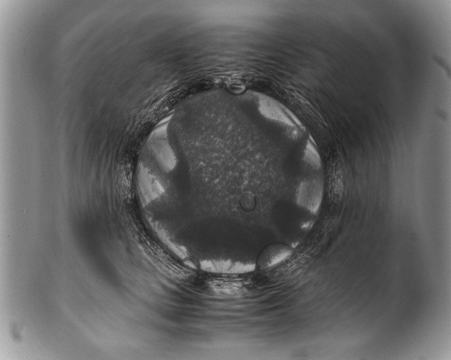 X0000100420661200806201824