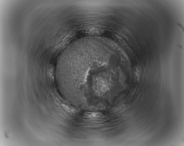 X0000100420663200806201824