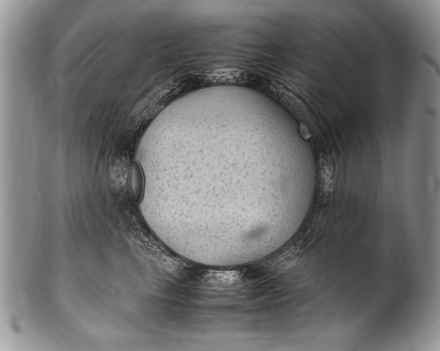 X0000100420665200806201824