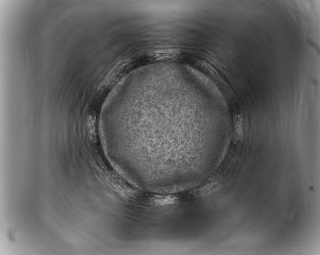 X0000100420667200806201824