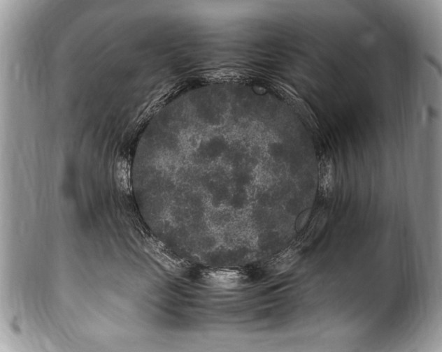 X0000100420669200806201824