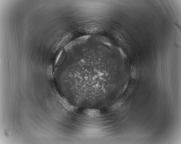 X0000100420670200806201824