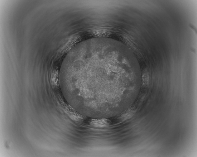 X0000100420671200806201824
