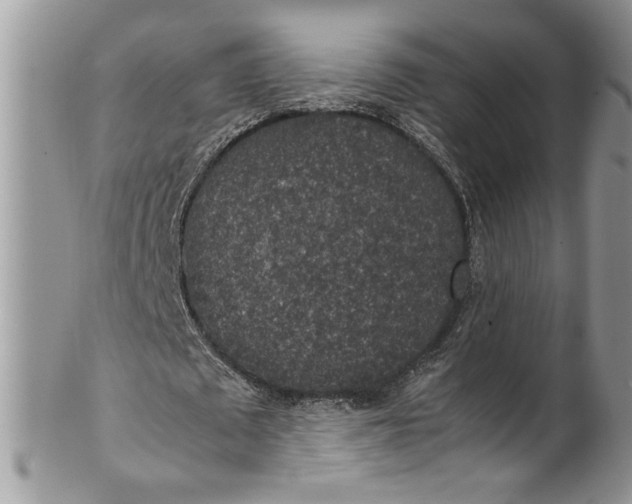 X0000100420673200806201823