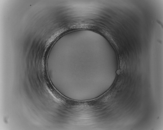 X0000100420674200806201823