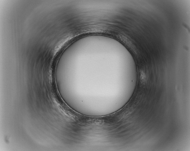 X0000100420676200806201823