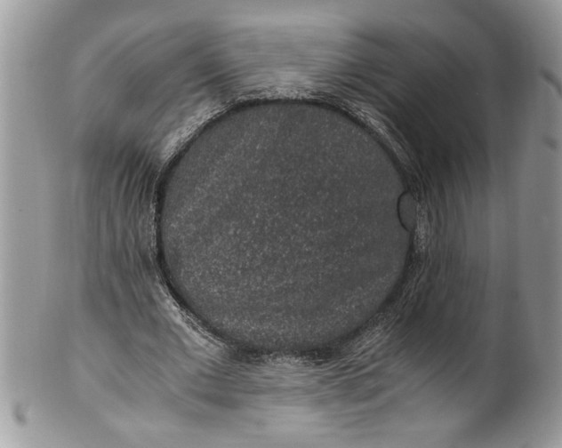 X0000100420677200806201823